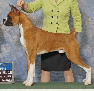 Dealer BOW 5 mo crop Dealer BOW 5 mo crop