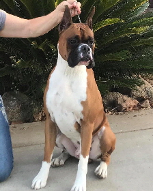 Freddie Head 1-1yr9mo crop Freddie Head 1-1yr9mo crop